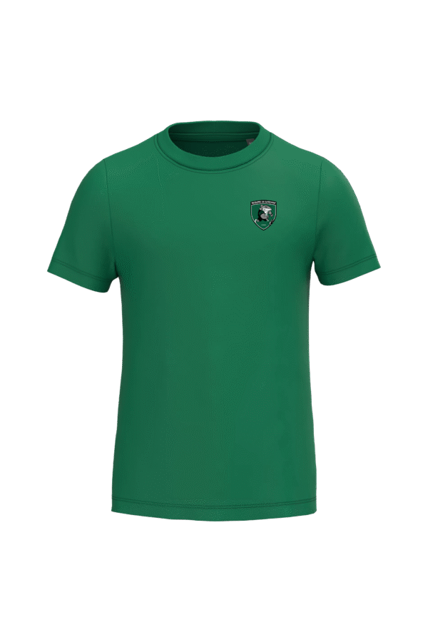 TEE SHIRT ENFANT - K3027IC - KELLY GREEN – Image 2